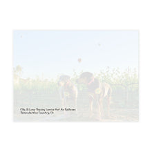 Scoobylife Spring Hot Air Balloons Temecula 7.25 x 5.25 Postcard (envelopes included)