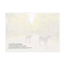 Scoobylife Leaf Peepin' Weir South Bishop Creek 7.25 x 5.25 Postcard (envelopes included)