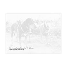 Scoobylife Spring Hot Air Yellow Balloon Temecula 7.25 x 5.25 Postcard (envelopes included)