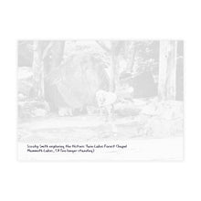 Scooby Early Winter Historic Twin Lakes Forest Chapel 7.25 x 5.25 Postcard (envelopes included)