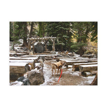 Scooby Early Winter Historic Twin Lakes Forest Chapel 7.25 x 5.25 Postcard (envelopes included)