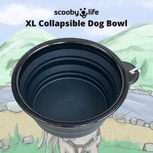 Scoobylife XL Black Collapsible Dog Bowl & Fishin' Trails 2 - 25 More Hikes for Eastern Sierra Wild Trout Book Gift Set