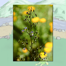 Signed Options for In-Person Purchase Only! Includes Shipping: Inspirations from Fwiends - A Collection from Scooby Smith’s “Say Hello” Hard Cover Garden Book 1