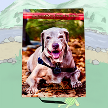 Special Collector's Edition: Inspirations from Fwiends - A Collection from Scooby Smith's "Say Hello" Garden Book 1