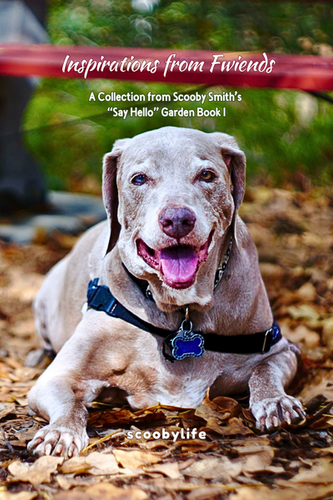 Signed Options for In-Person Purchase Only! Includes Shipping: Inspirations from Fwiends - A Collection from Scooby Smith’s “Say Hello” Hard Cover Garden Book 1